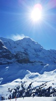 Grindelwald Switzerland 88